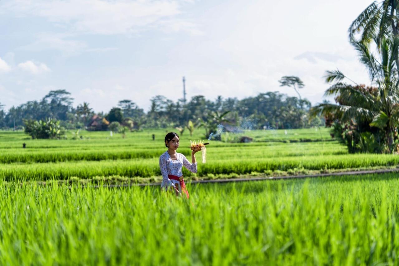 Kubu Bali Baik Villa & Resort - Chse Certified Ubud Exterior foto